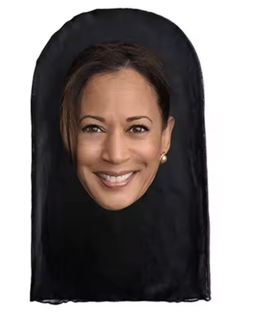 Celebrity Masks