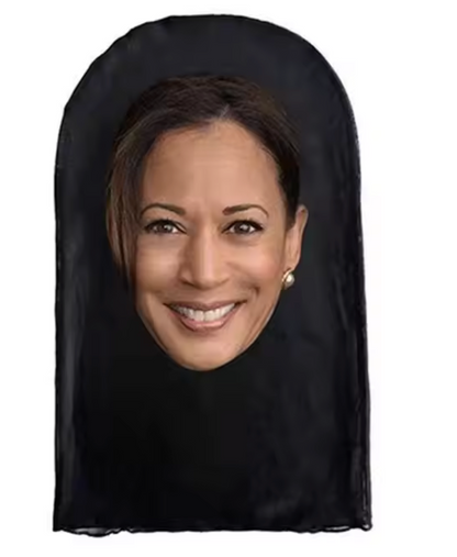 Celebrity Masks